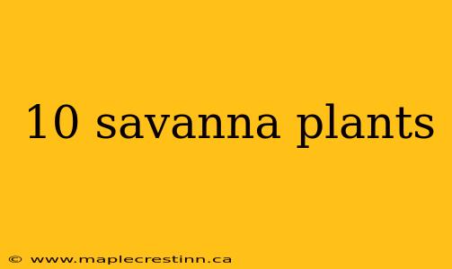 10 savanna plants