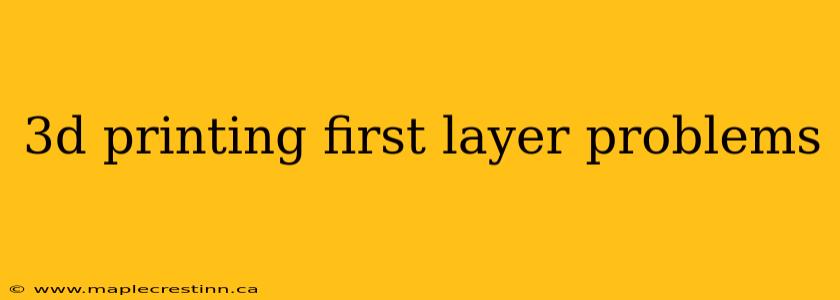 3d printing first layer problems