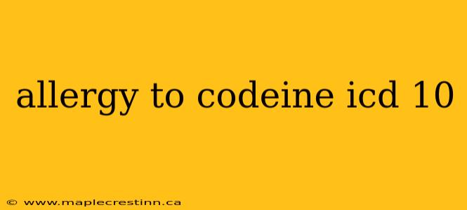allergy to codeine icd 10