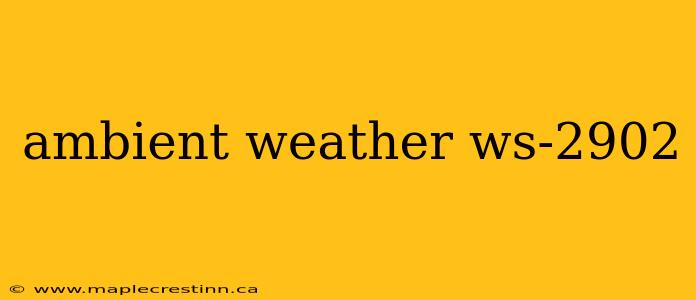 ambient weather ws-2902