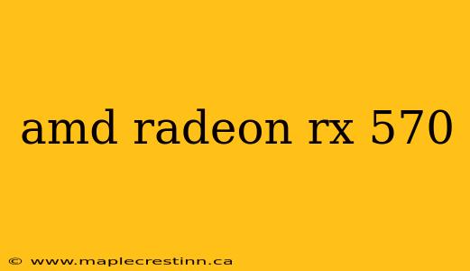 amd radeon rx 570