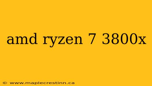 amd ryzen 7 3800x
