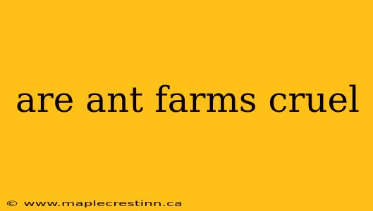 are ant farms cruel