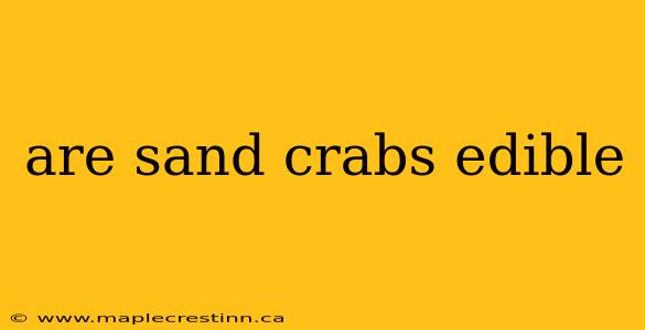 are sand crabs edible