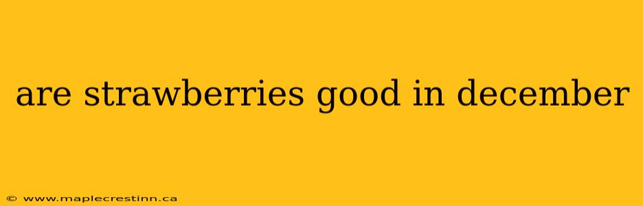 are strawberries good in december