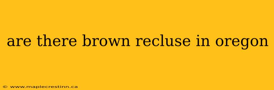 are there brown recluse in oregon