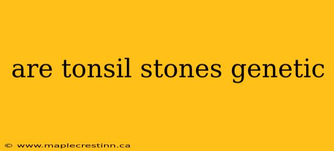 are tonsil stones genetic
