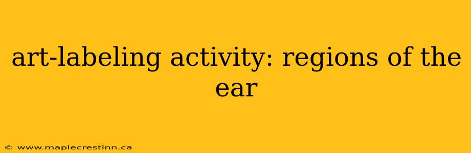art-labeling activity: regions of the ear