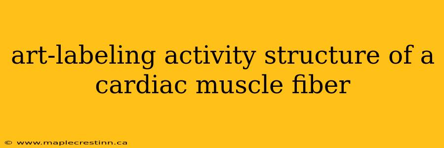 art-labeling activity structure of a cardiac muscle fiber