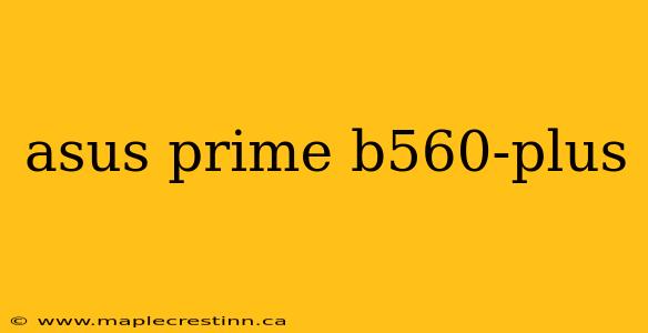 asus prime b560-plus