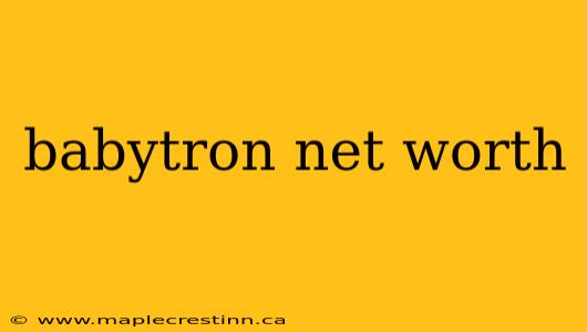 babytron net worth