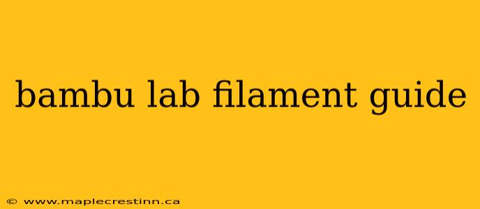 bambu lab filament guide