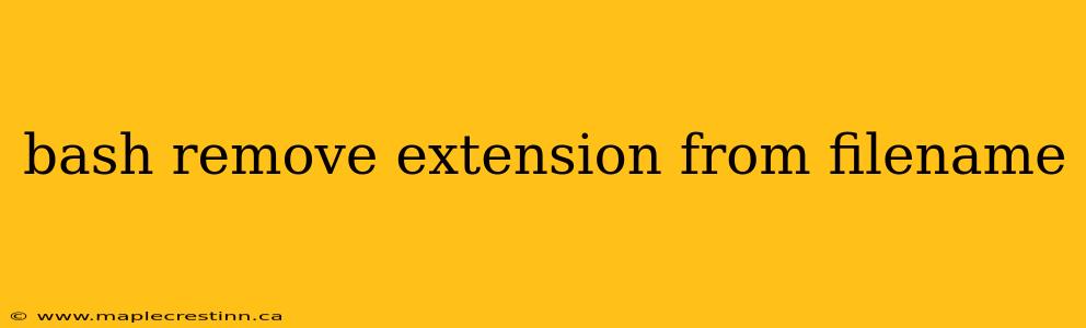 bash remove extension from filename