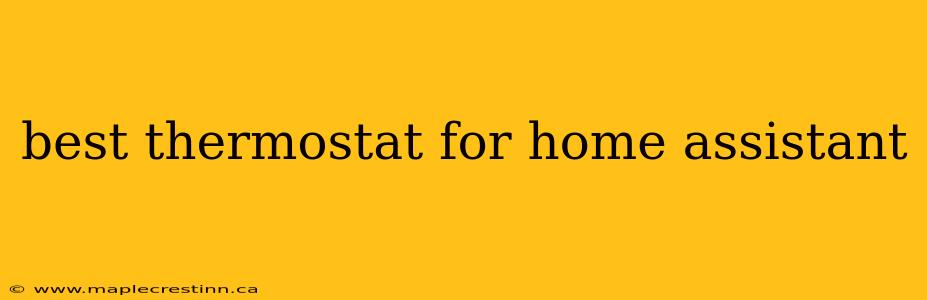 best thermostat for home assistant