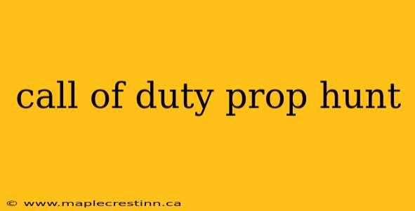 call of duty prop hunt