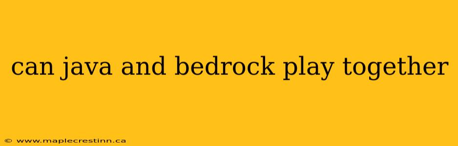 can java and bedrock play together