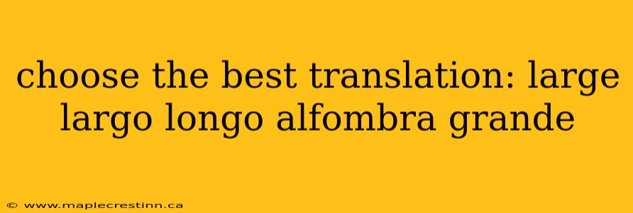 choose the best translation: large largo longo alfombra grande