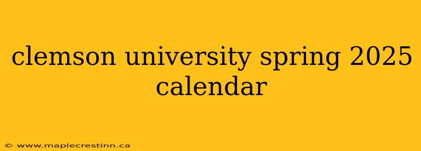 clemson university spring 2025 calendar