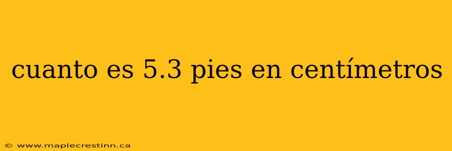cuanto es 5.3 pies en centímetros