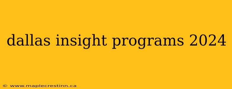 dallas insight programs 2024