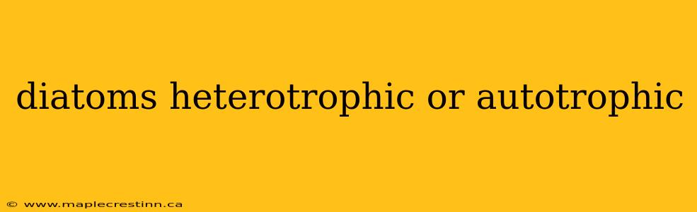 diatoms heterotrophic or autotrophic