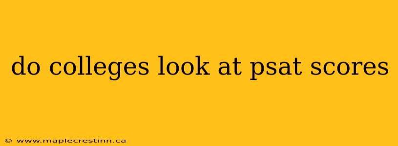 do colleges look at psat scores