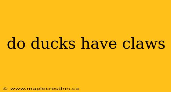 do ducks have claws