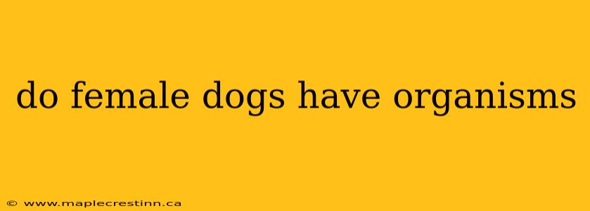 do female dogs have organisms