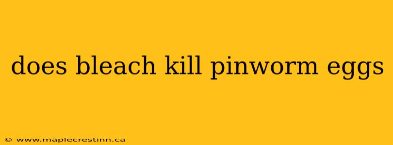 does bleach kill pinworm eggs