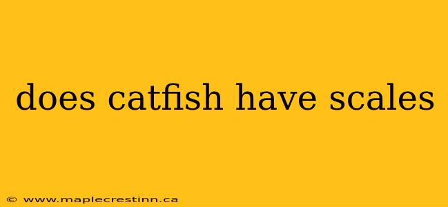 does catfish have scales