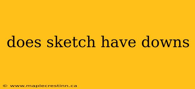 does sketch have downs