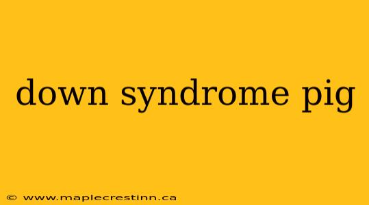 down syndrome pig