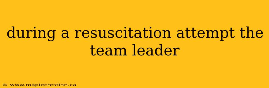 during a resuscitation attempt the team leader