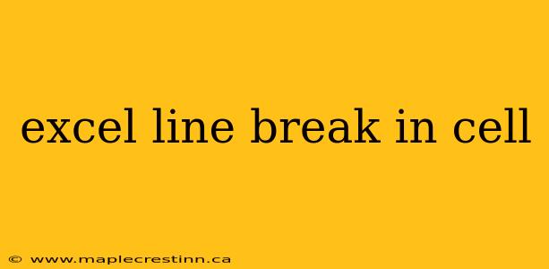 excel line break in cell