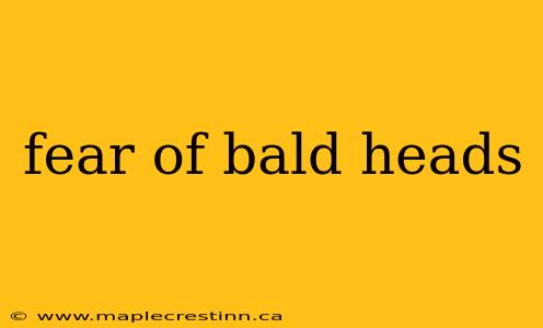 fear of bald heads