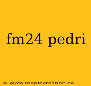 fm24 pedri