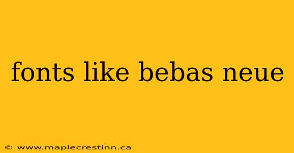 fonts like bebas neue