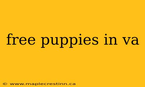 free puppies in va