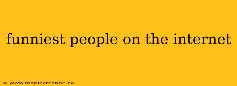 funniest people on the internet