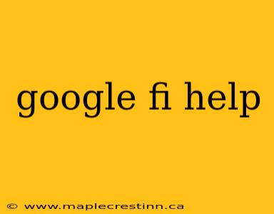 google fi help