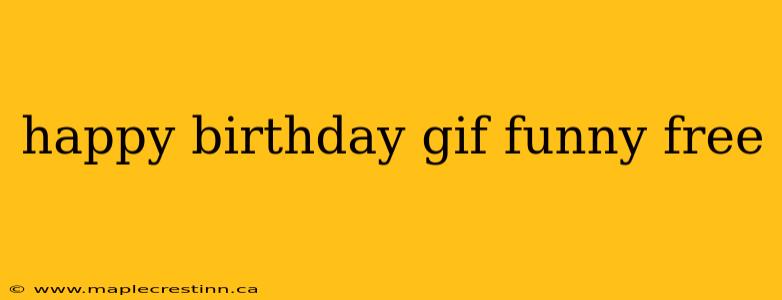 happy birthday gif funny free