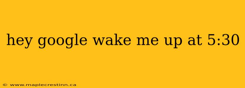 hey google wake me up at 5:30