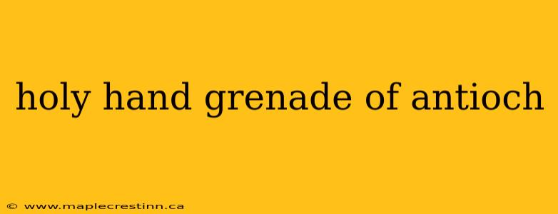 holy hand grenade of antioch