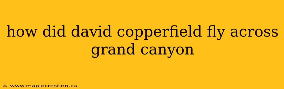 how did david copperfield fly across grand canyon