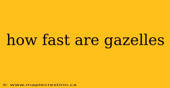 how fast are gazelles