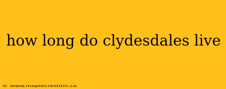 how long do clydesdales live