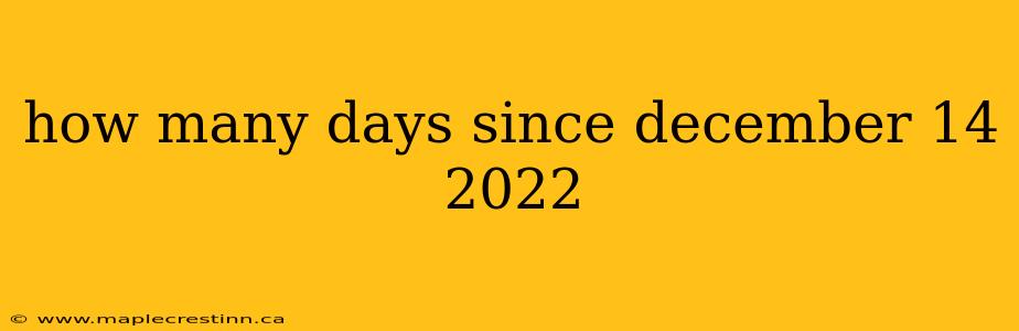 how many days since december 14 2022