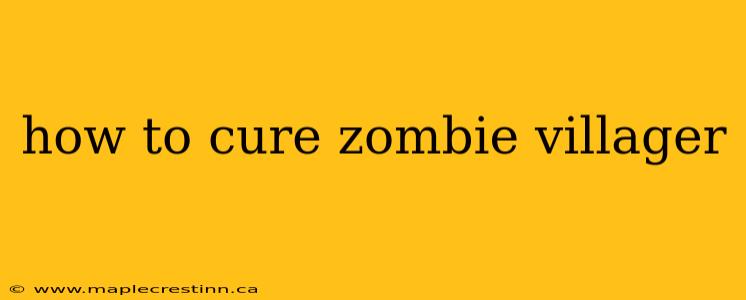 how to cure zombie villager