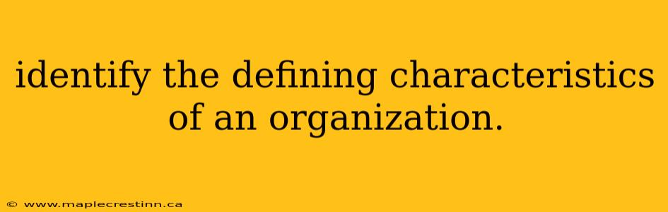 identify the defining characteristics of an organization.