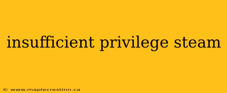 insufficient privilege steam
